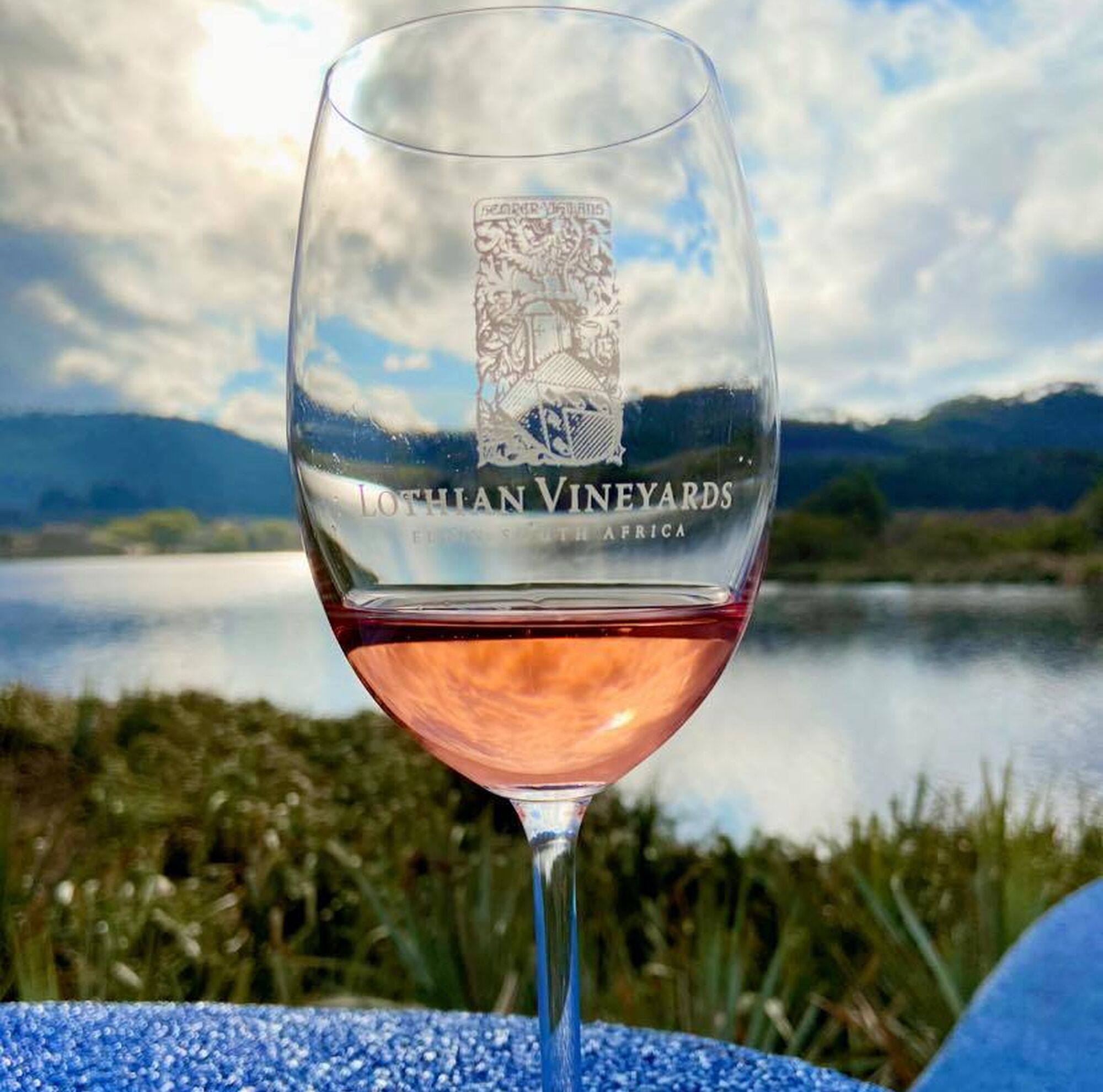 Lothian Vineyards 1 Lothian Vineyards 1