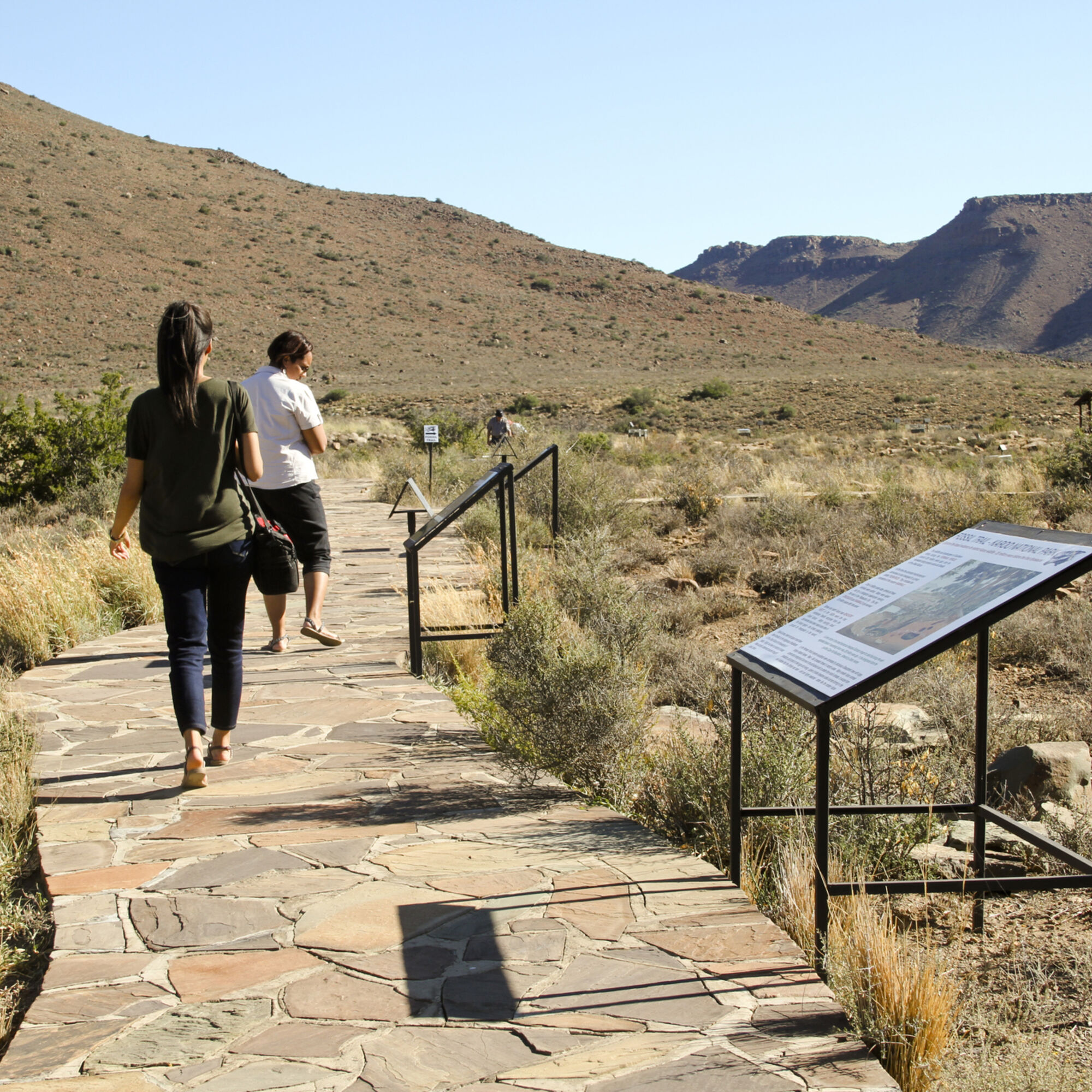 Karoo National Park 5