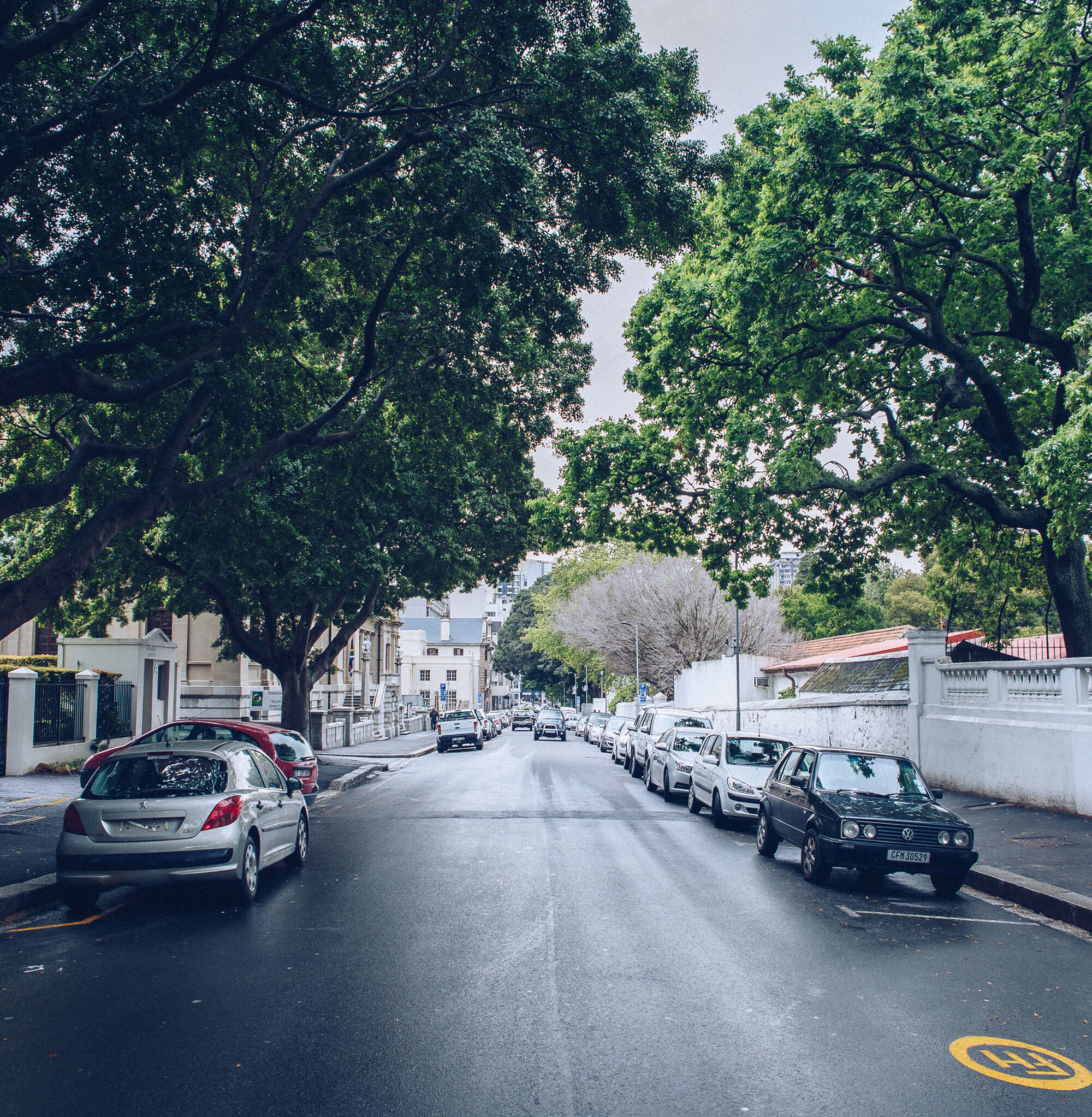 Street in the CBD
