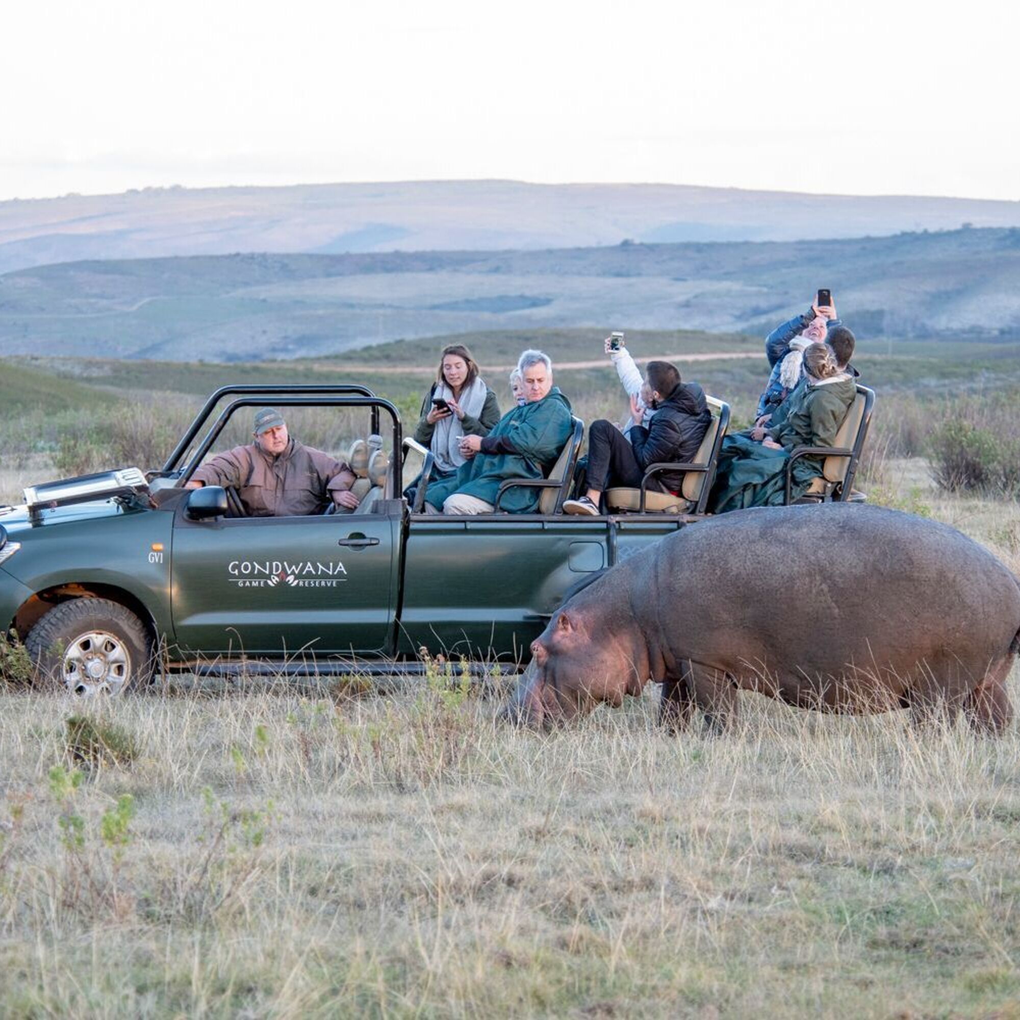 Gondwana Game Drive 7 Gondwana Game Drive 7
