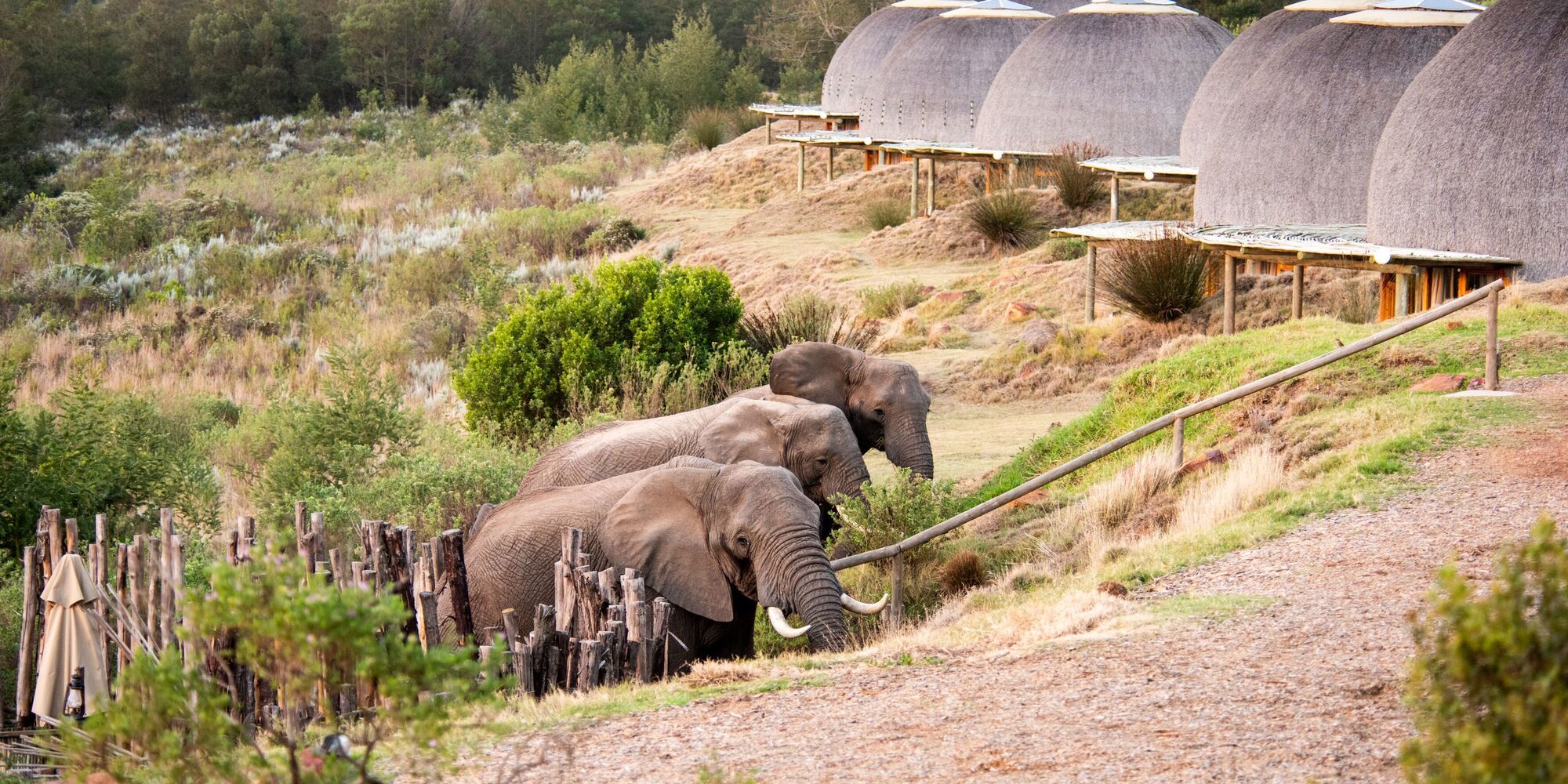 Gondwana Kwena Lodge 5 Gondwana Kwena Lodge 5