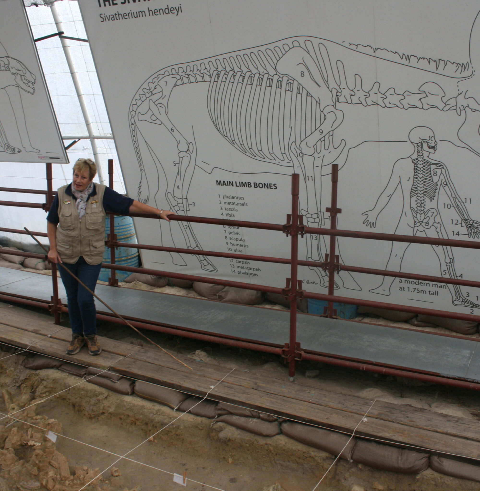 West Coast Fossil Park 2 West Coast Fossil Park 2