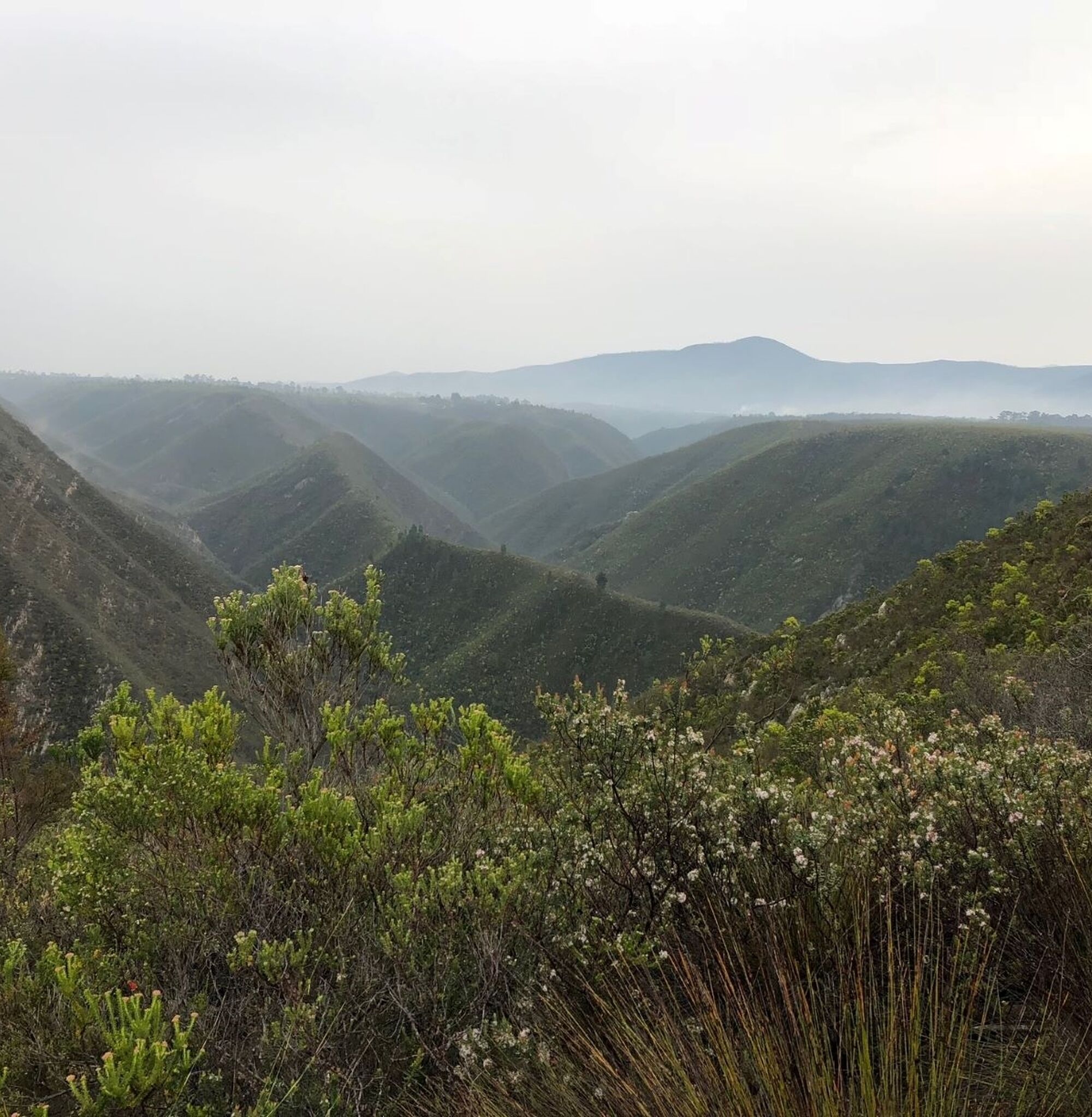 Natures Valley 1