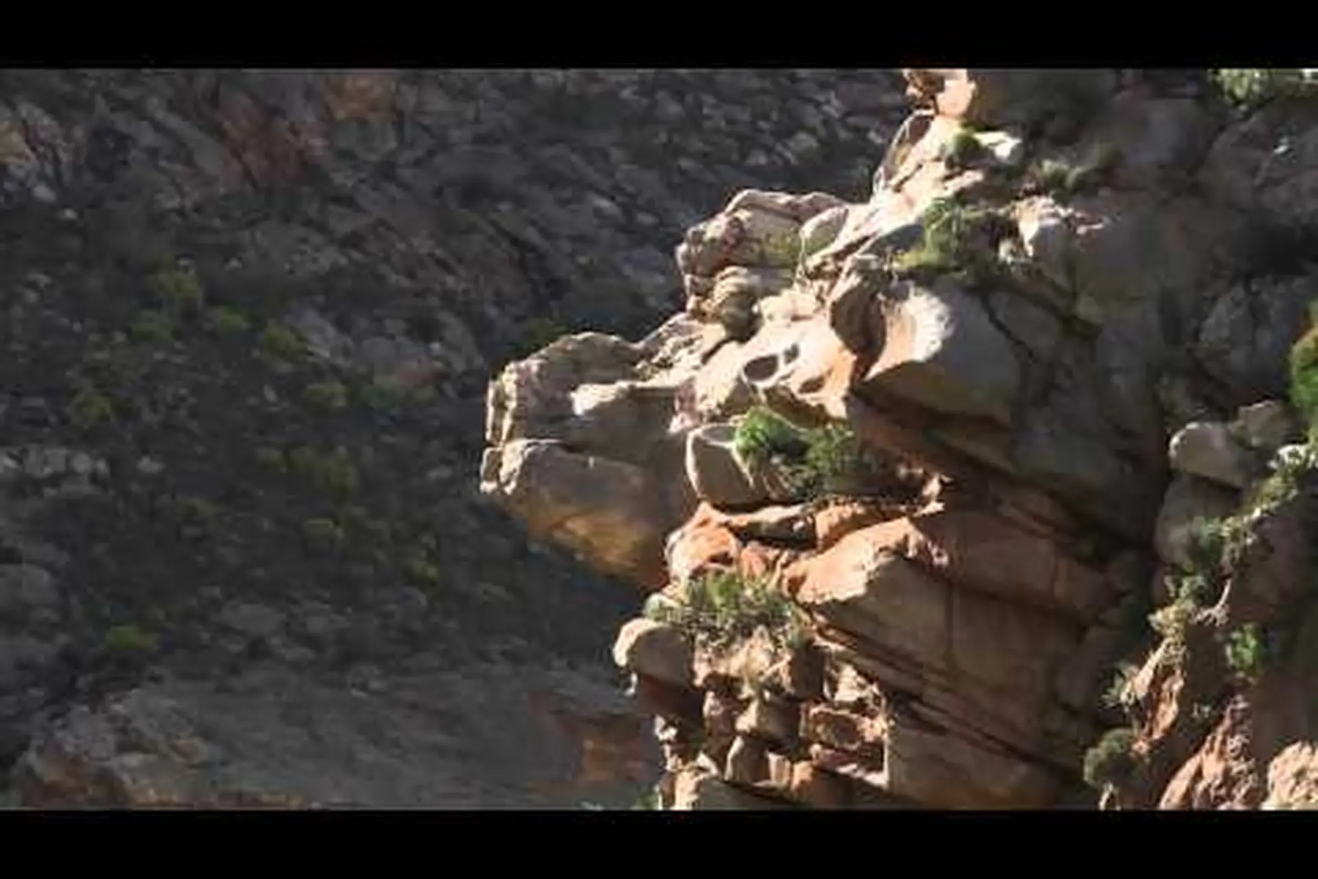 Discover Cape Karoo Discover Cape Karoo