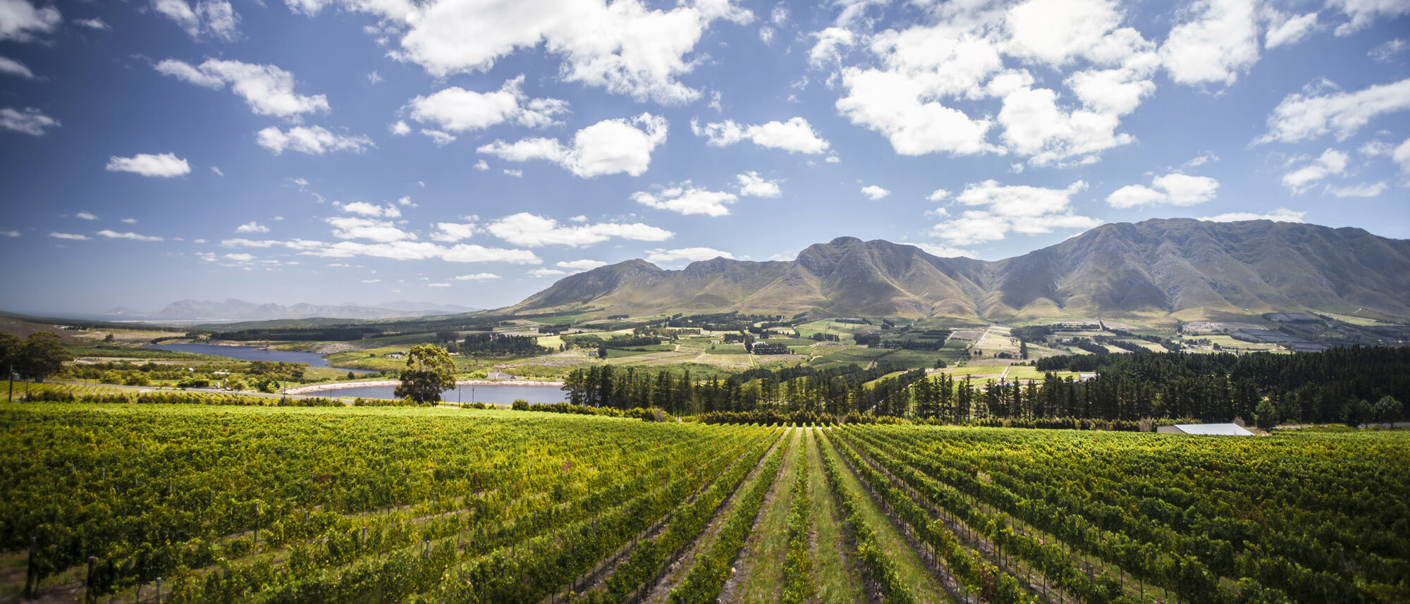 Image Title Image Title