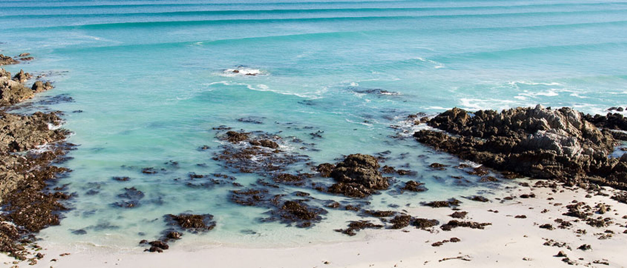 Image Title Image Title