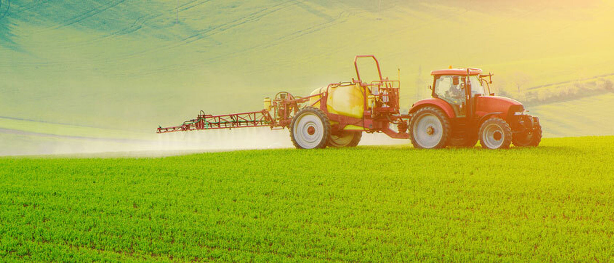 Image Title Image Title