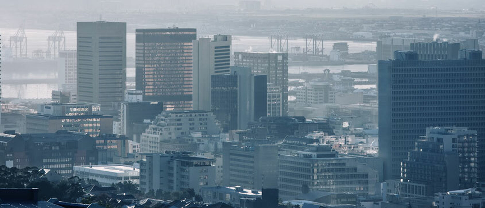 Image Title Image Title