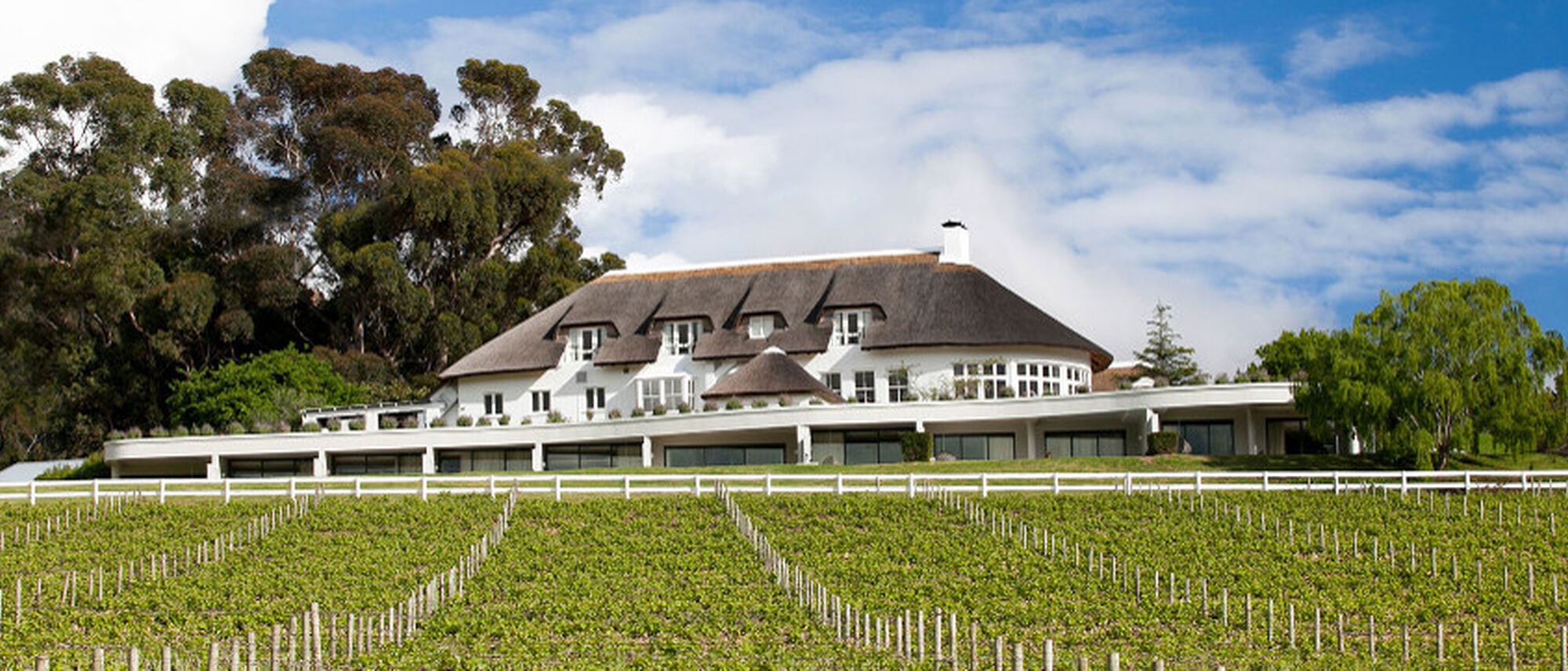 Image Title Image Title