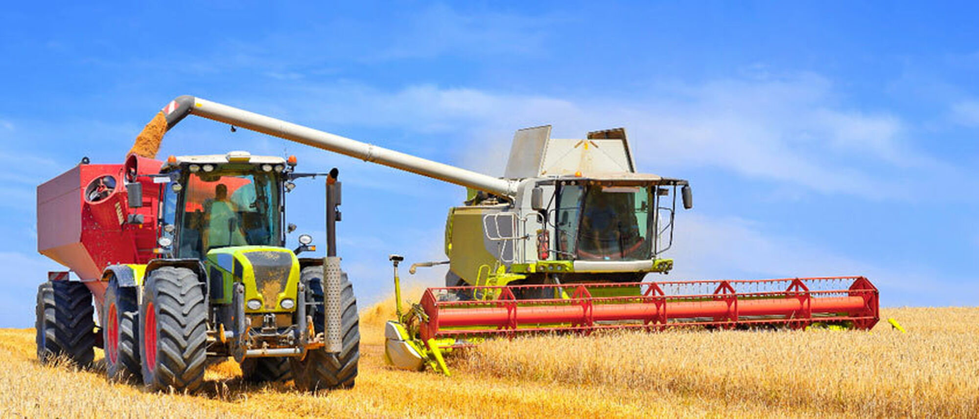 Image Title Image Title