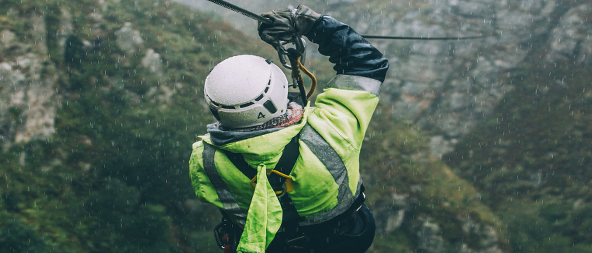 Image Title Image Title