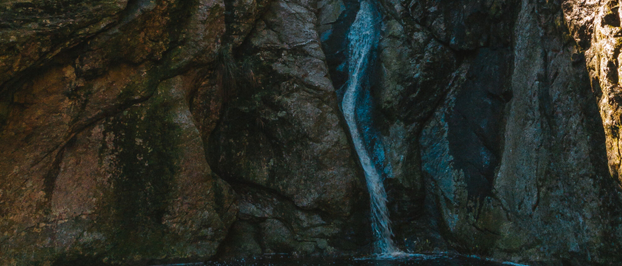 Image Title Image Title