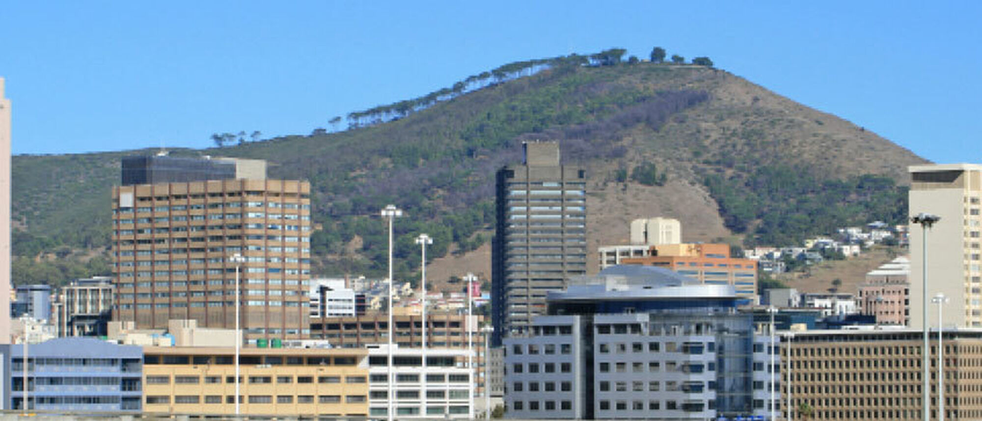 Image Title Image Title