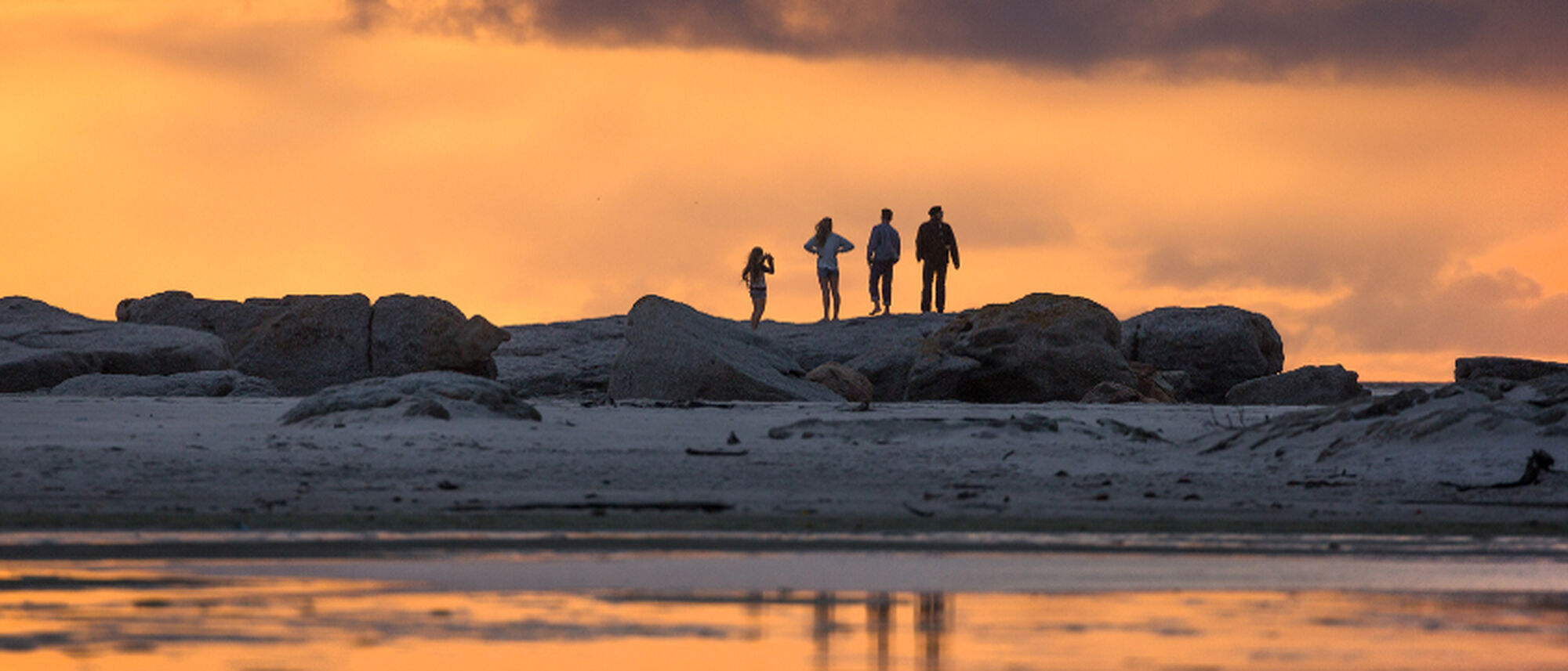 Image Title Image Title