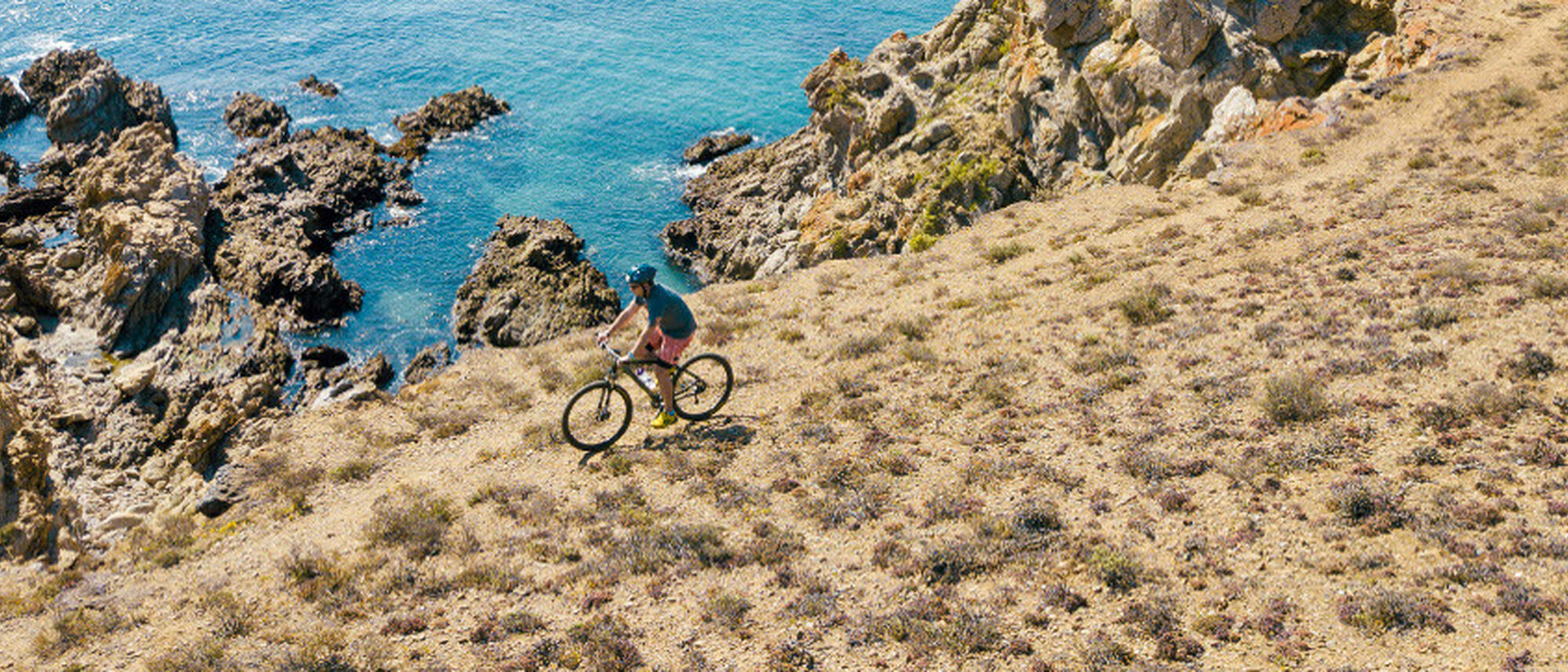 Image Title Image Title