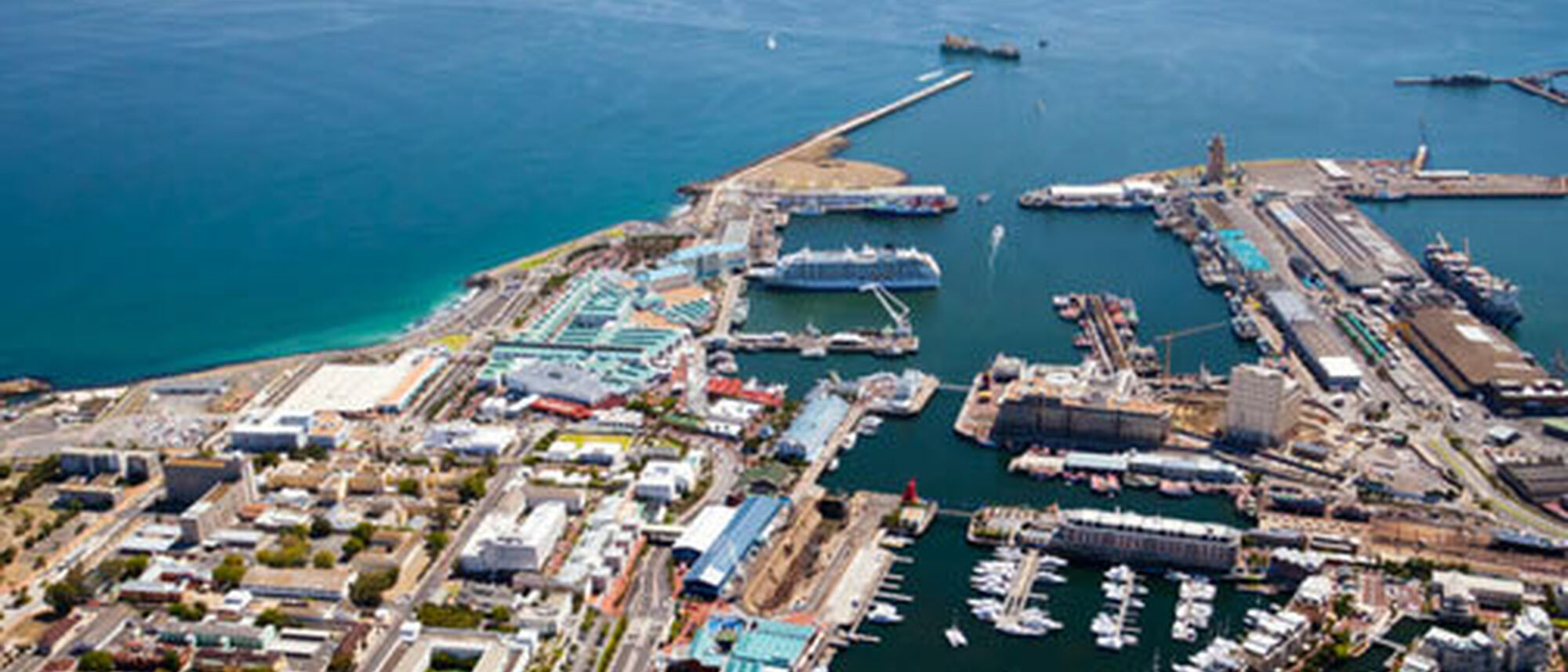 Image Title Image Title