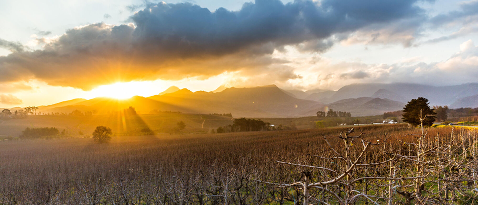 Image Title Image Title