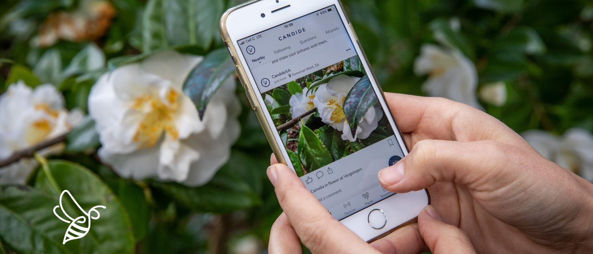 Image Title Image Title