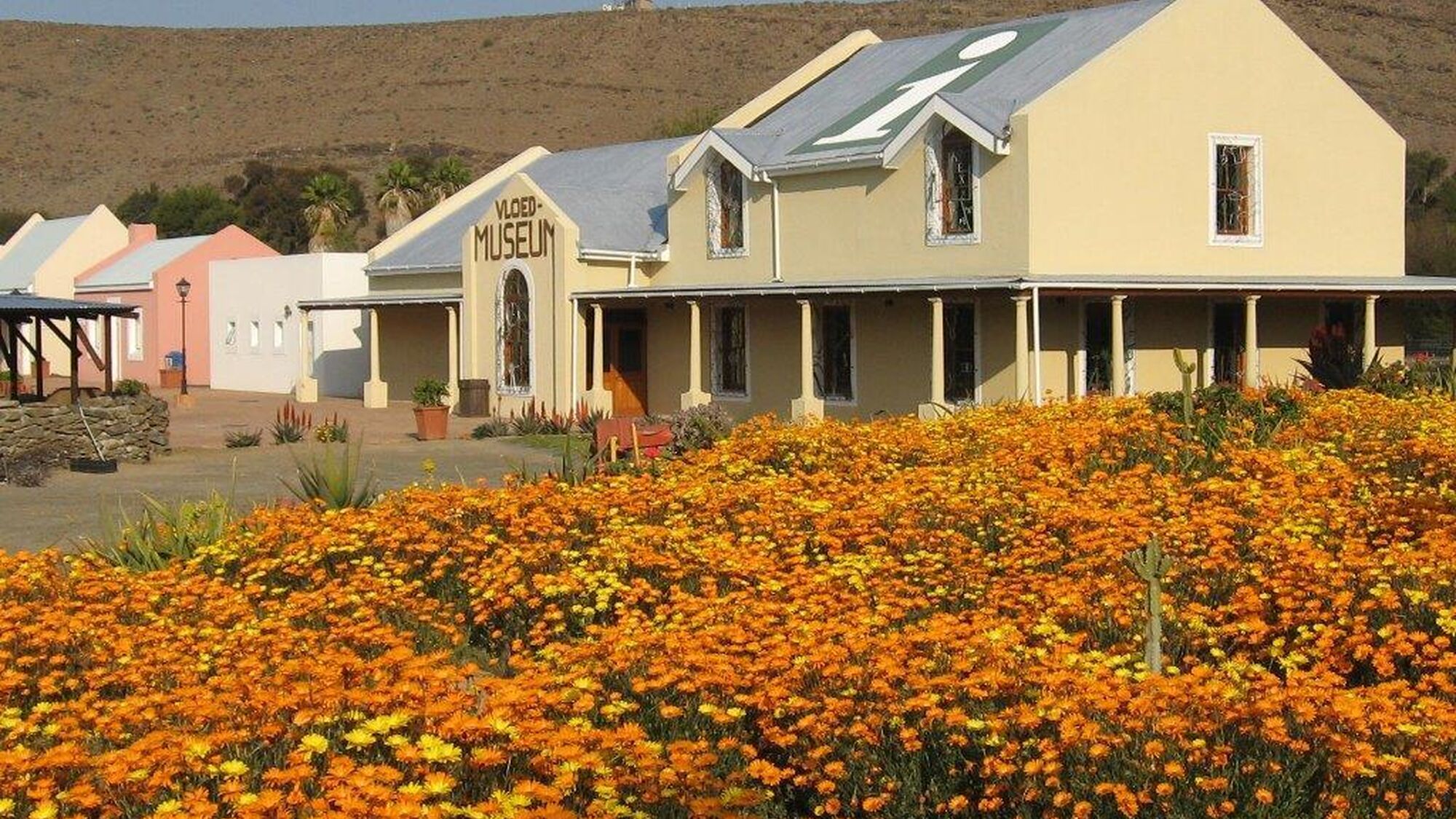 Image Title Image Title