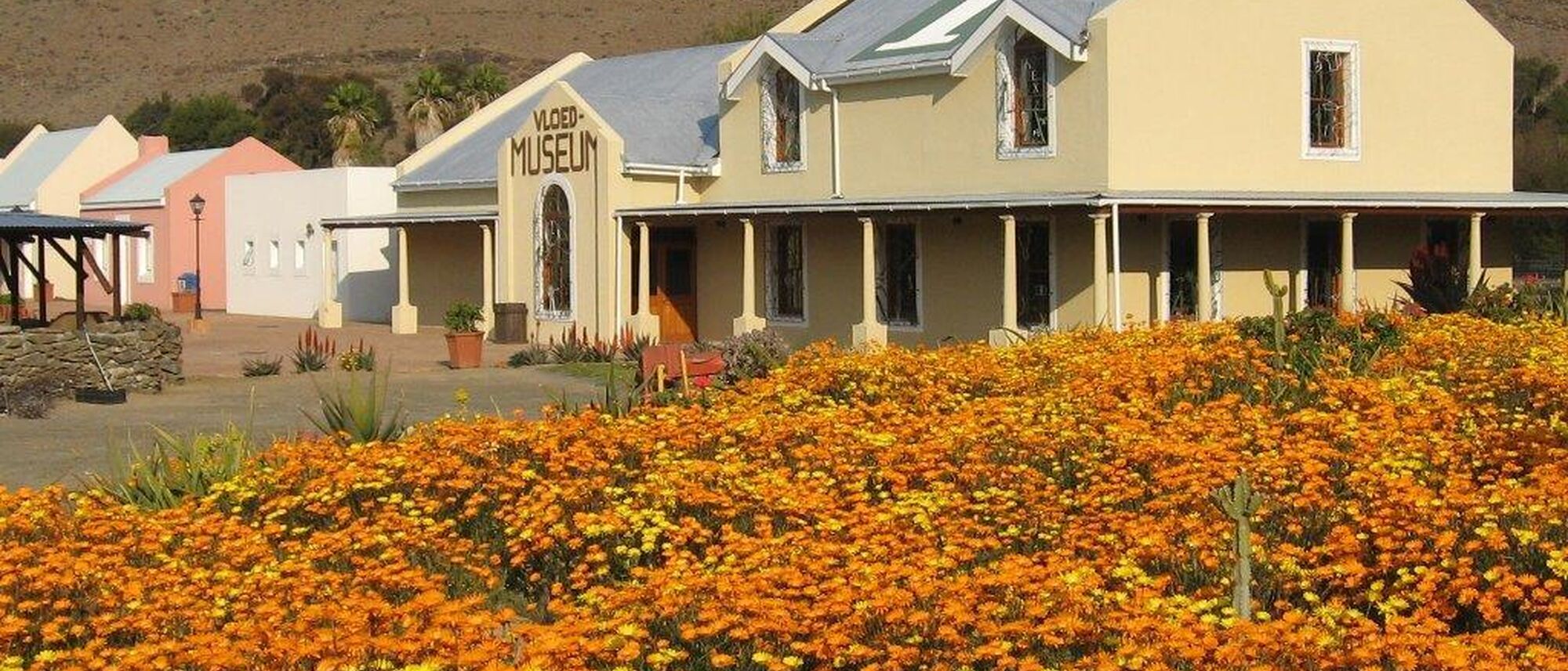 Image Title Image Title