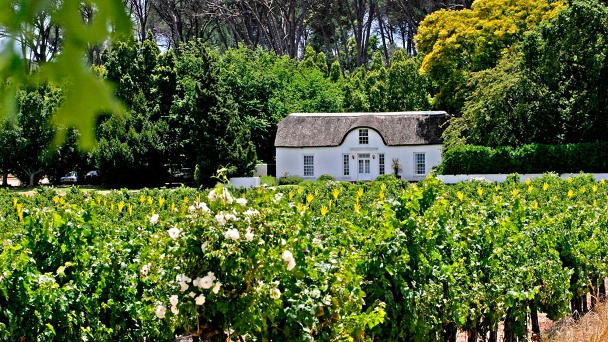 Image Title Image Title