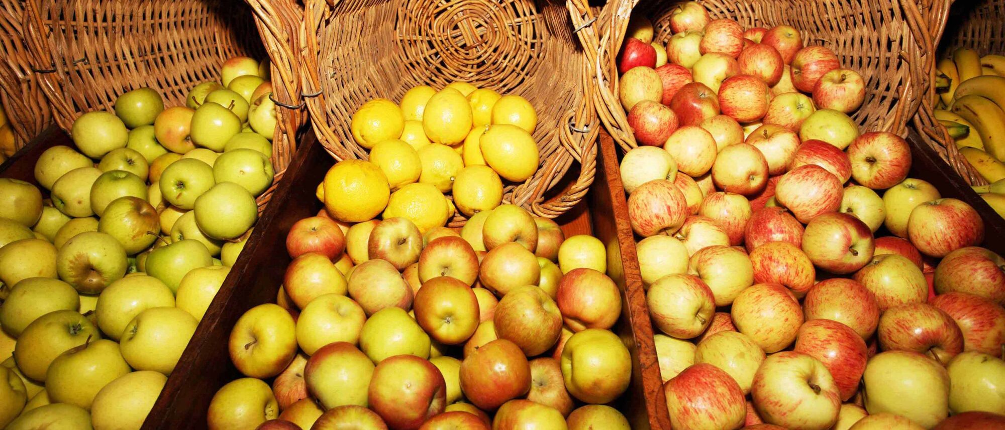 Image Title Image Title