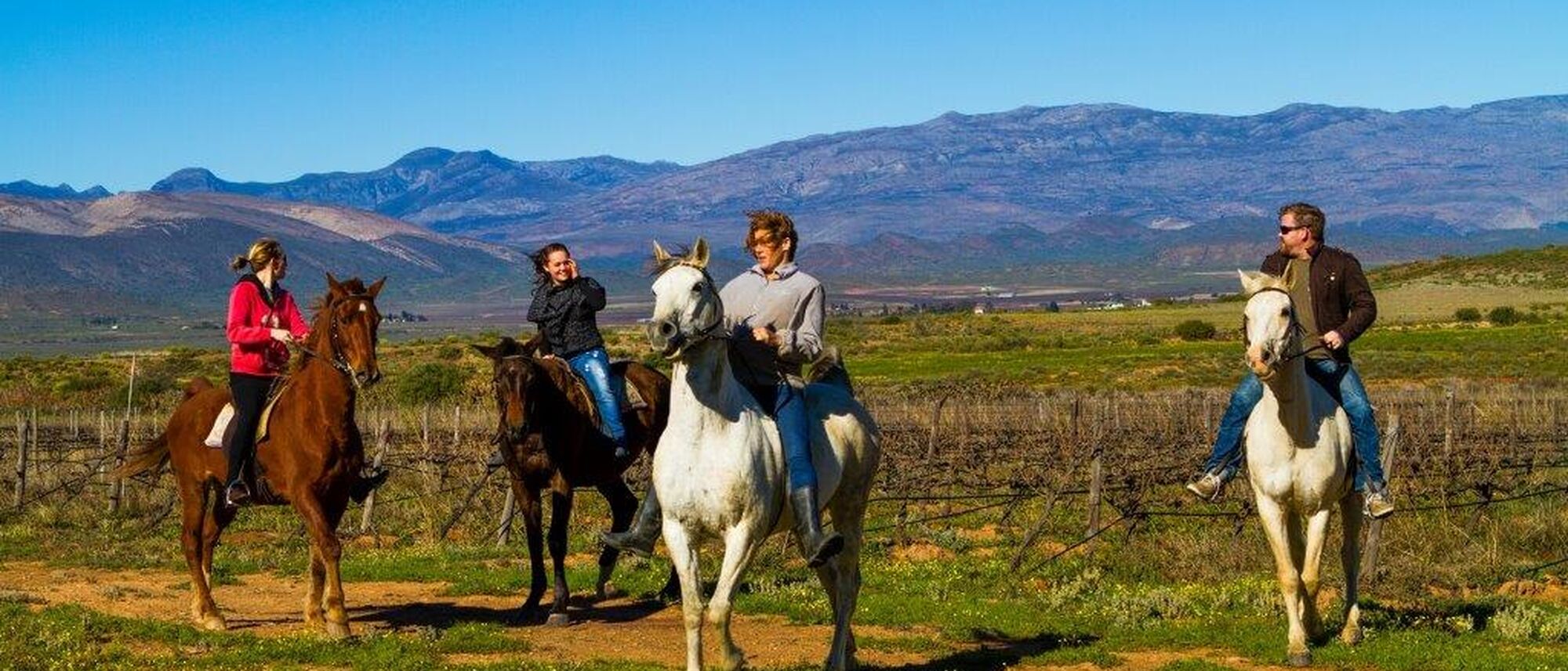 Image Title Image Title