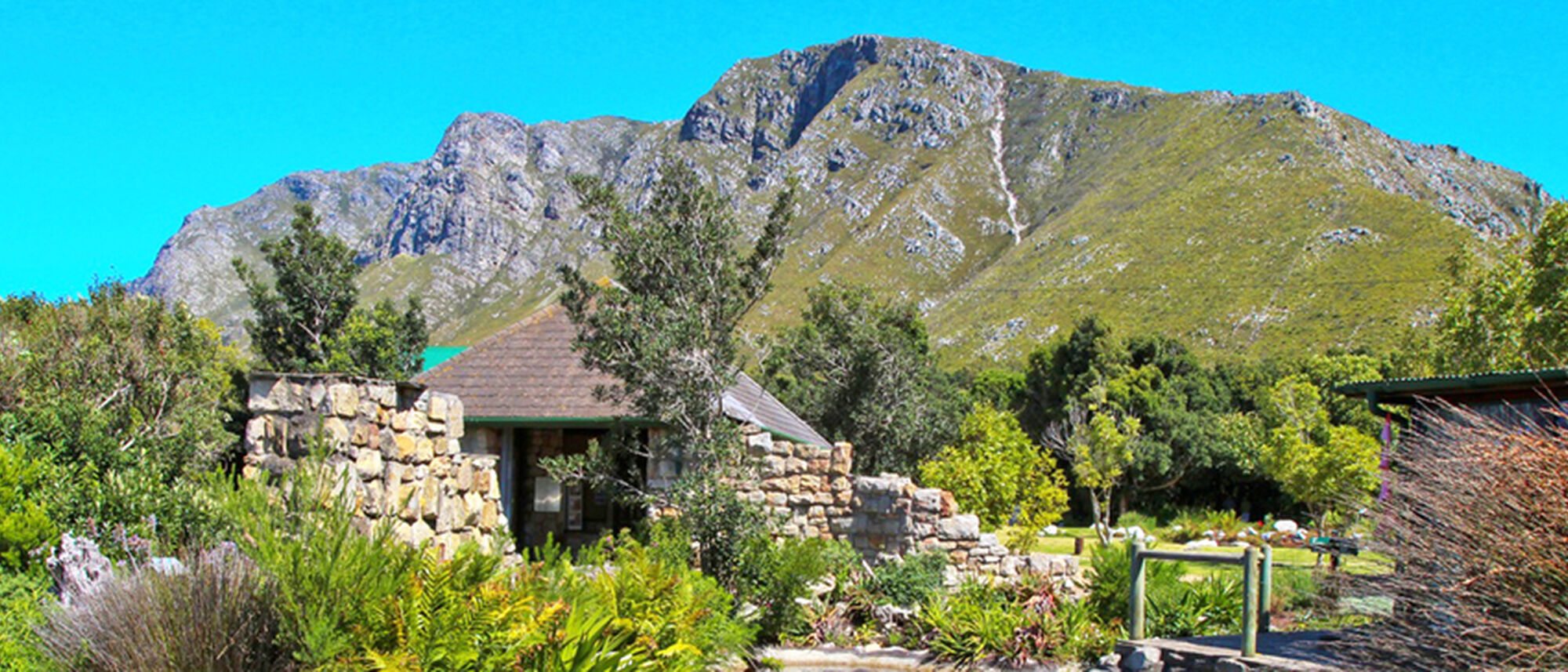 Image Title Image Title