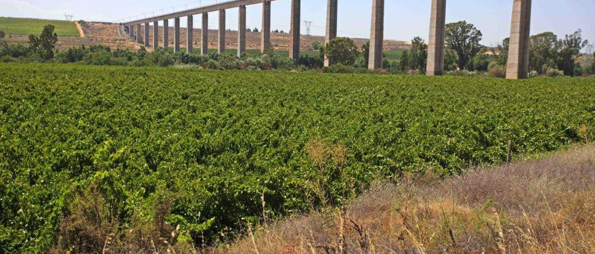 Image Title Image Title