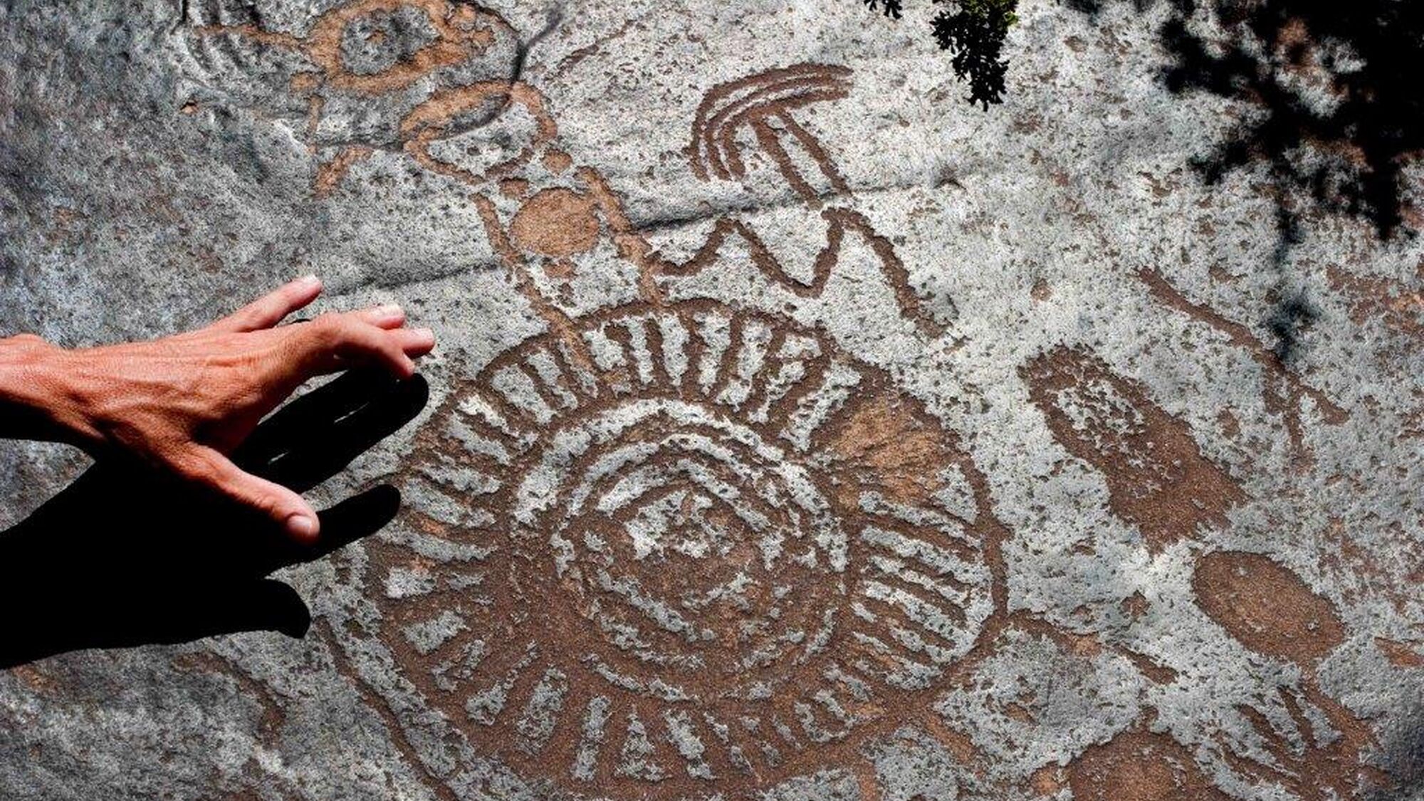 Image Title Image Title