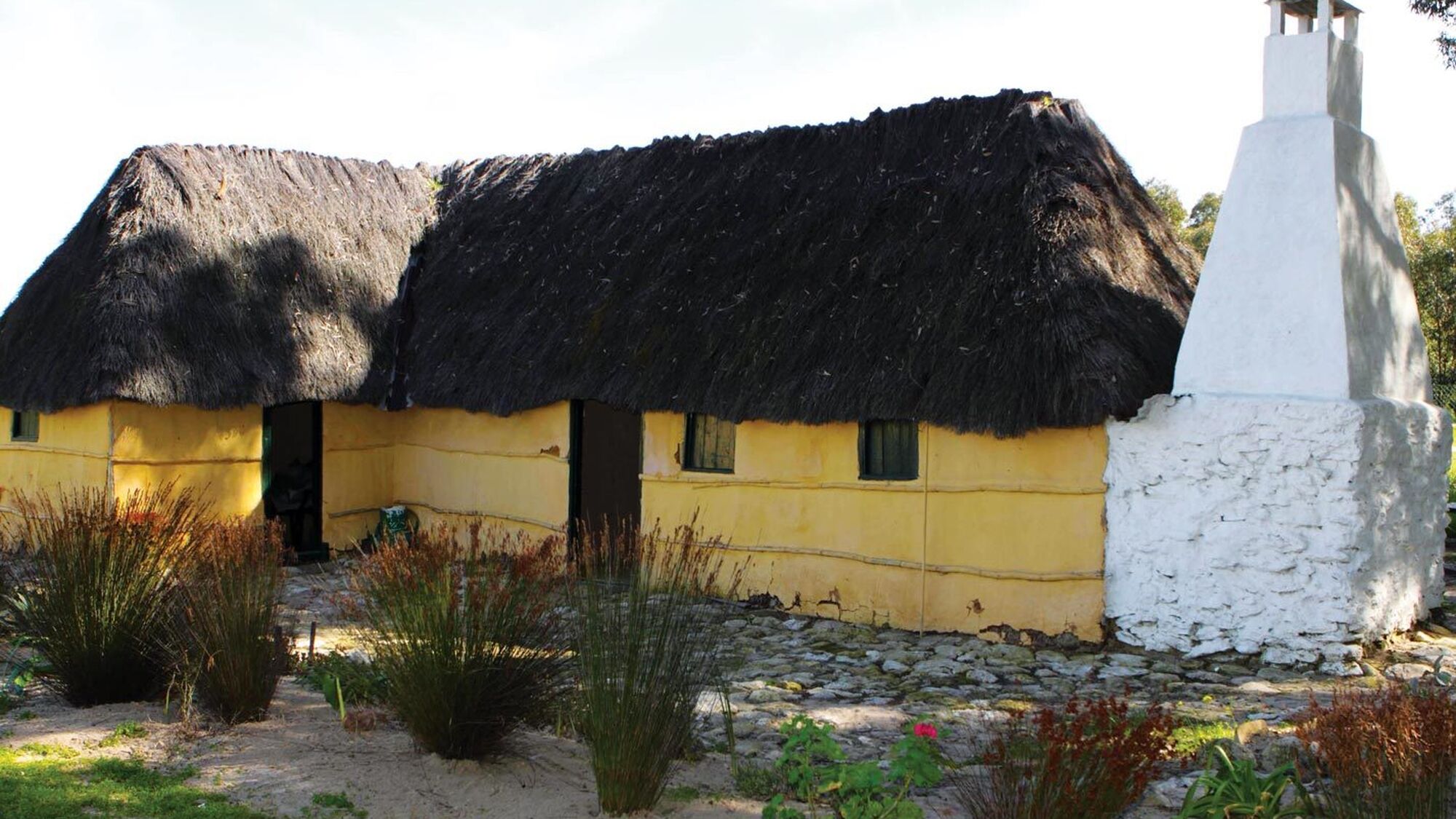 Image Title Image Title