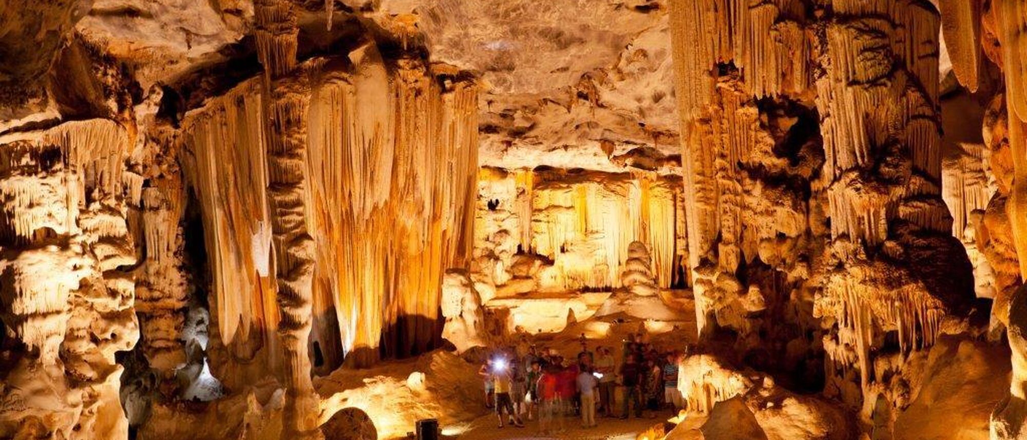 Image Title Image Title