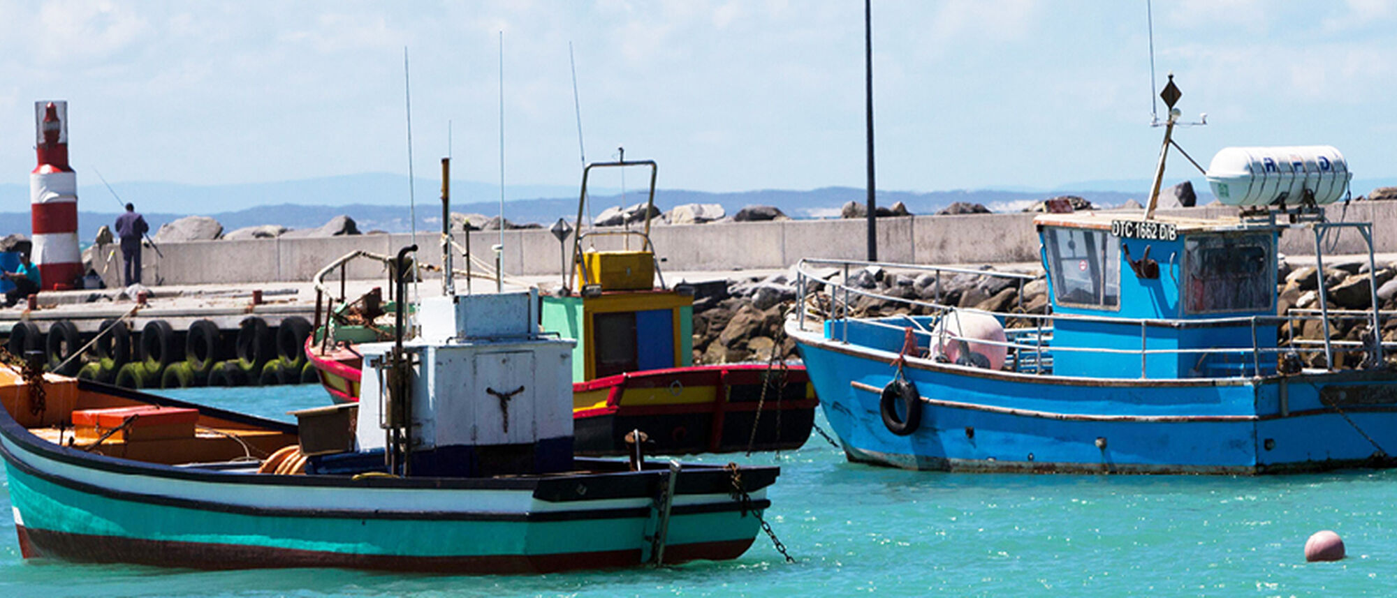 Image Title Image Title