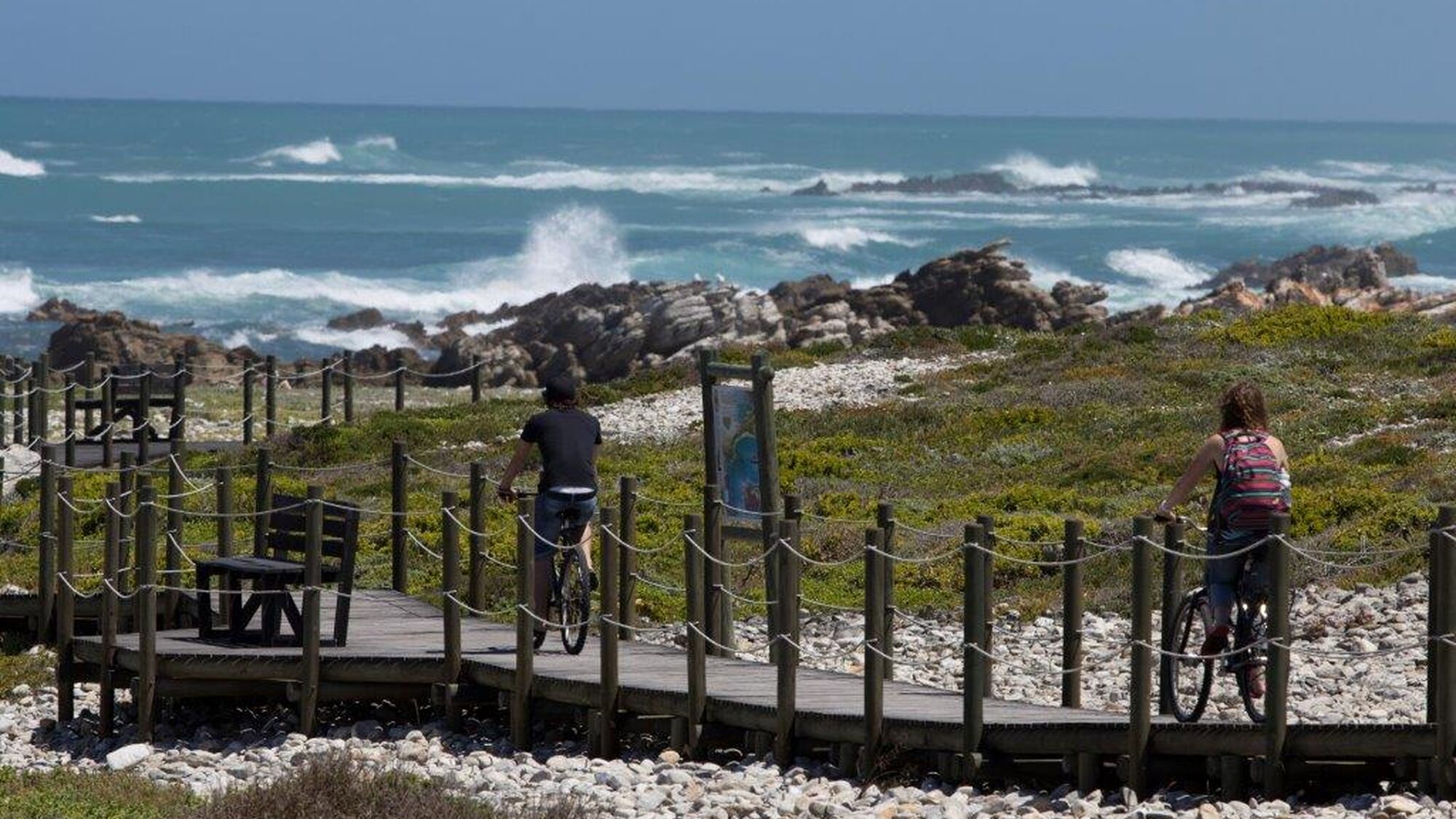 Image Title Image Title