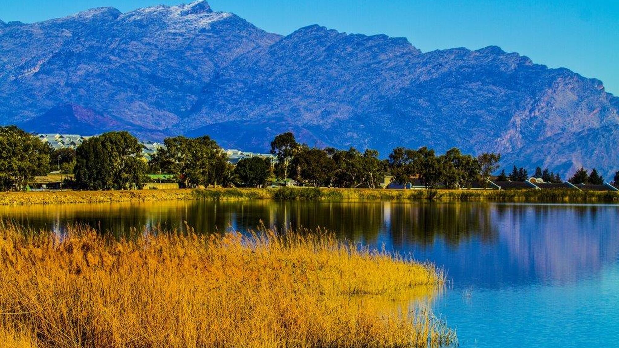 Image Title Image Title