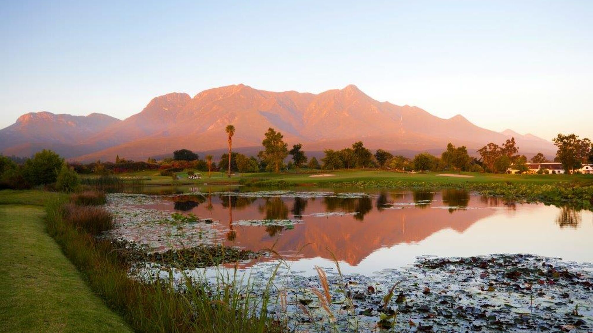 Image Title Image Title