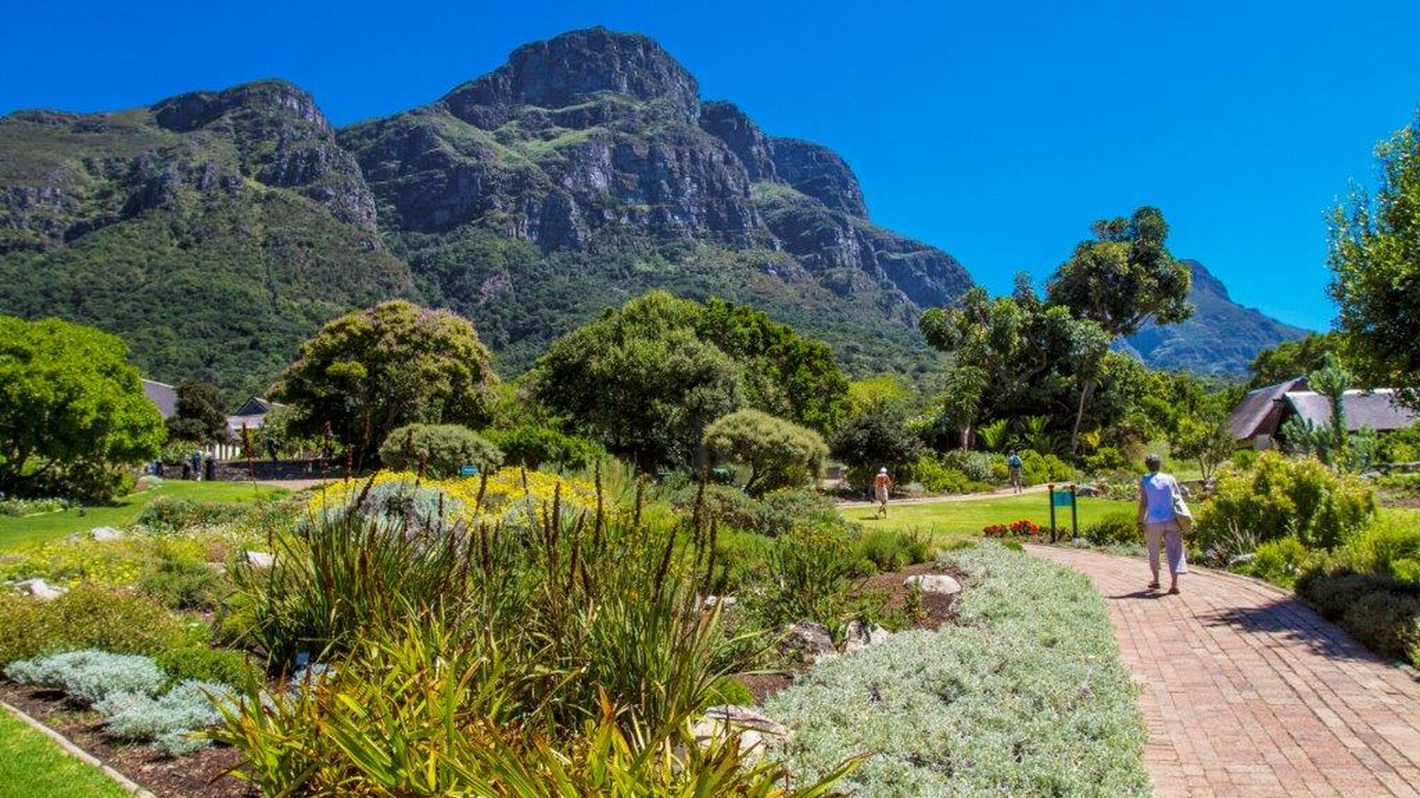 Image Title Image Title