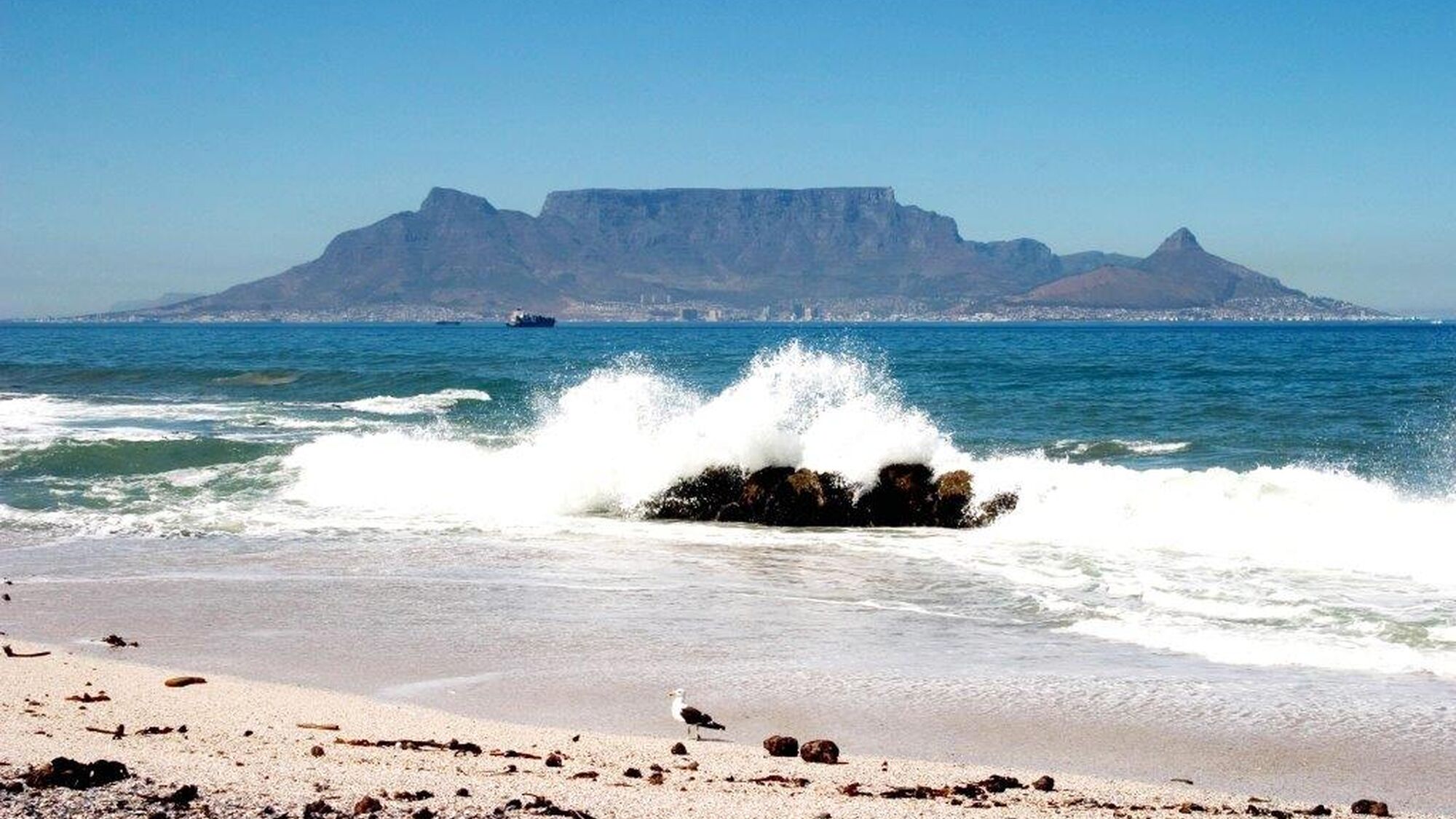 Image Title Image Title