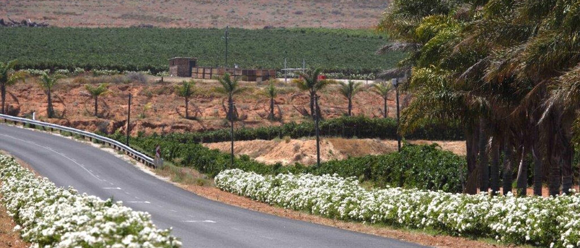 Image Title Image Title