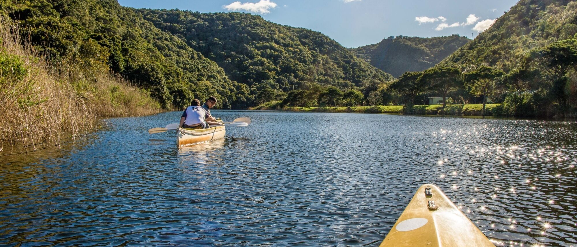 Image Title Image Title