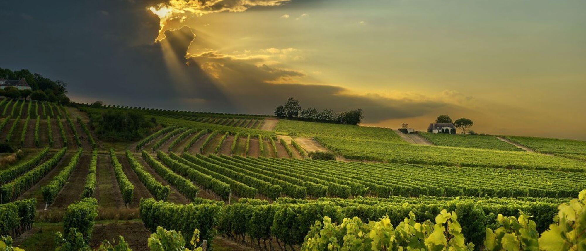 Image Title Image Title