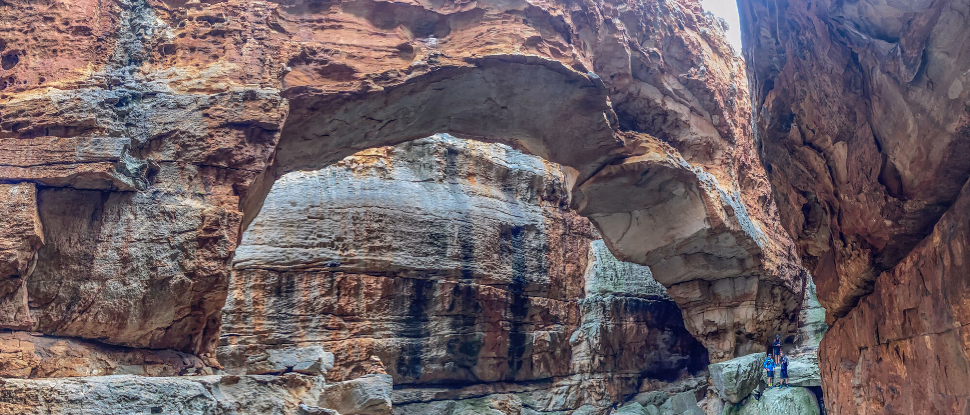 Image Title Image Title