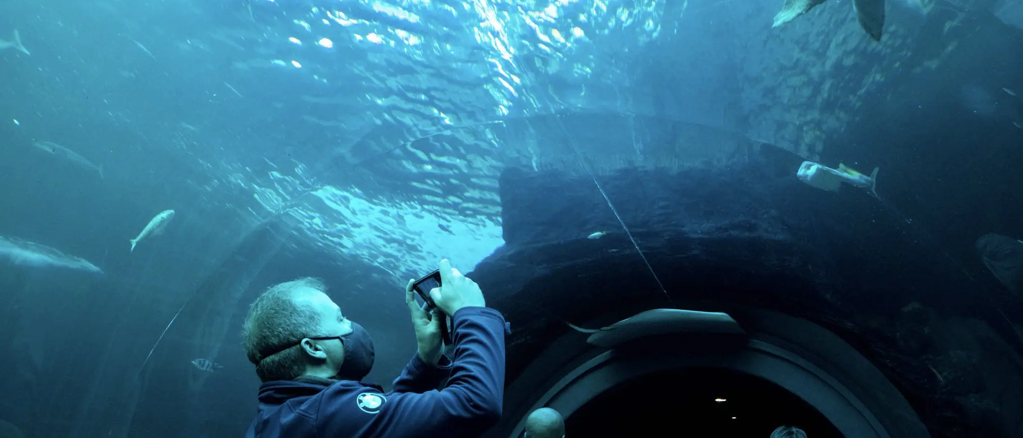 97 Two Oceans Aquarium 97 Two Oceans Aquarium