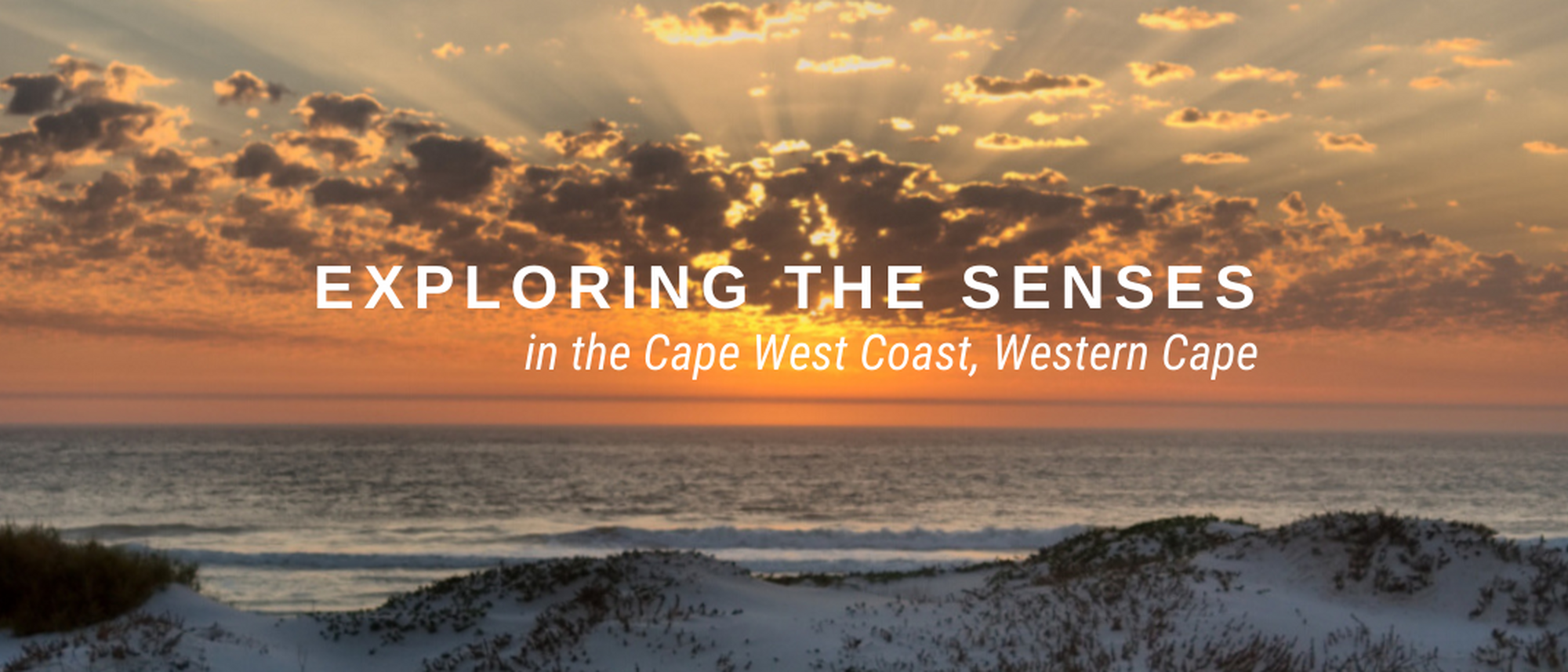 Image Title Image Title