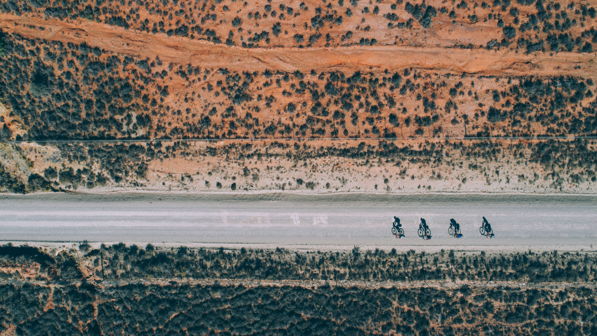 Image Title Image Title