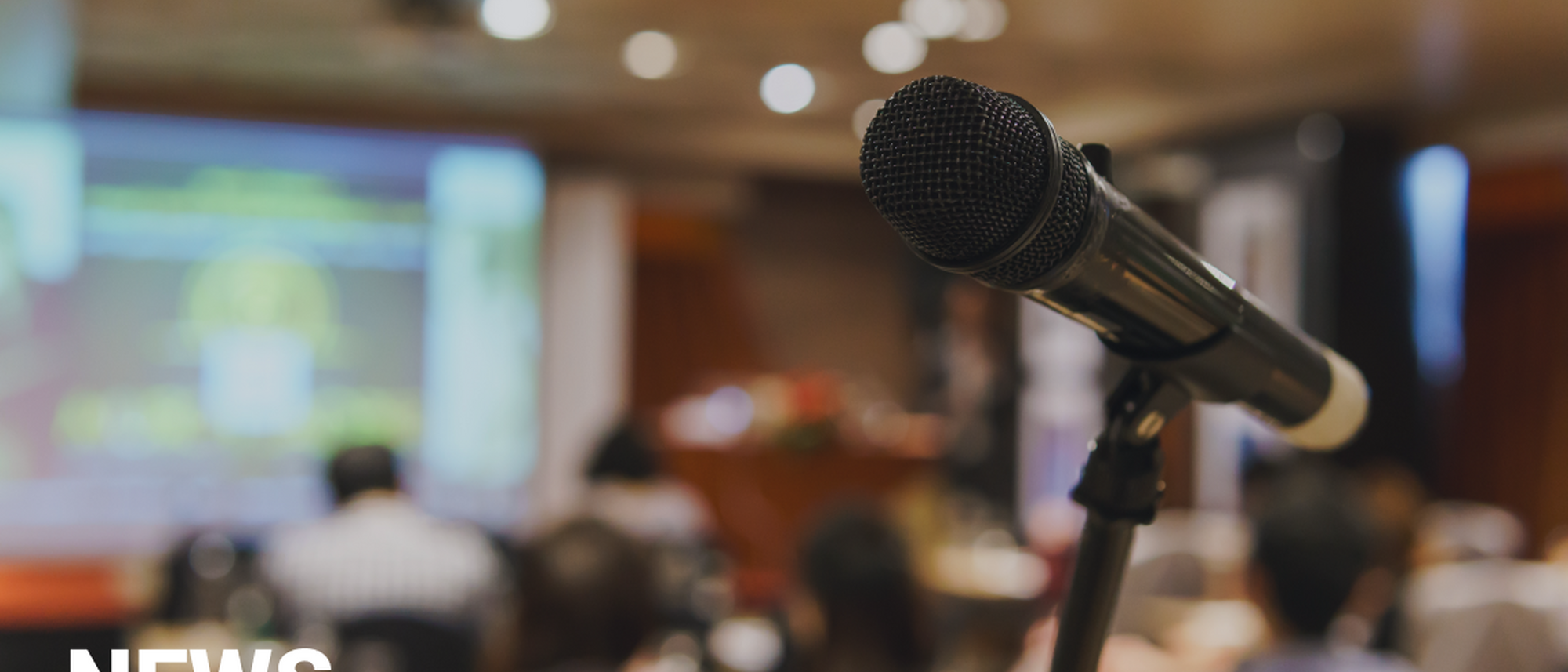 Image Title Image Title