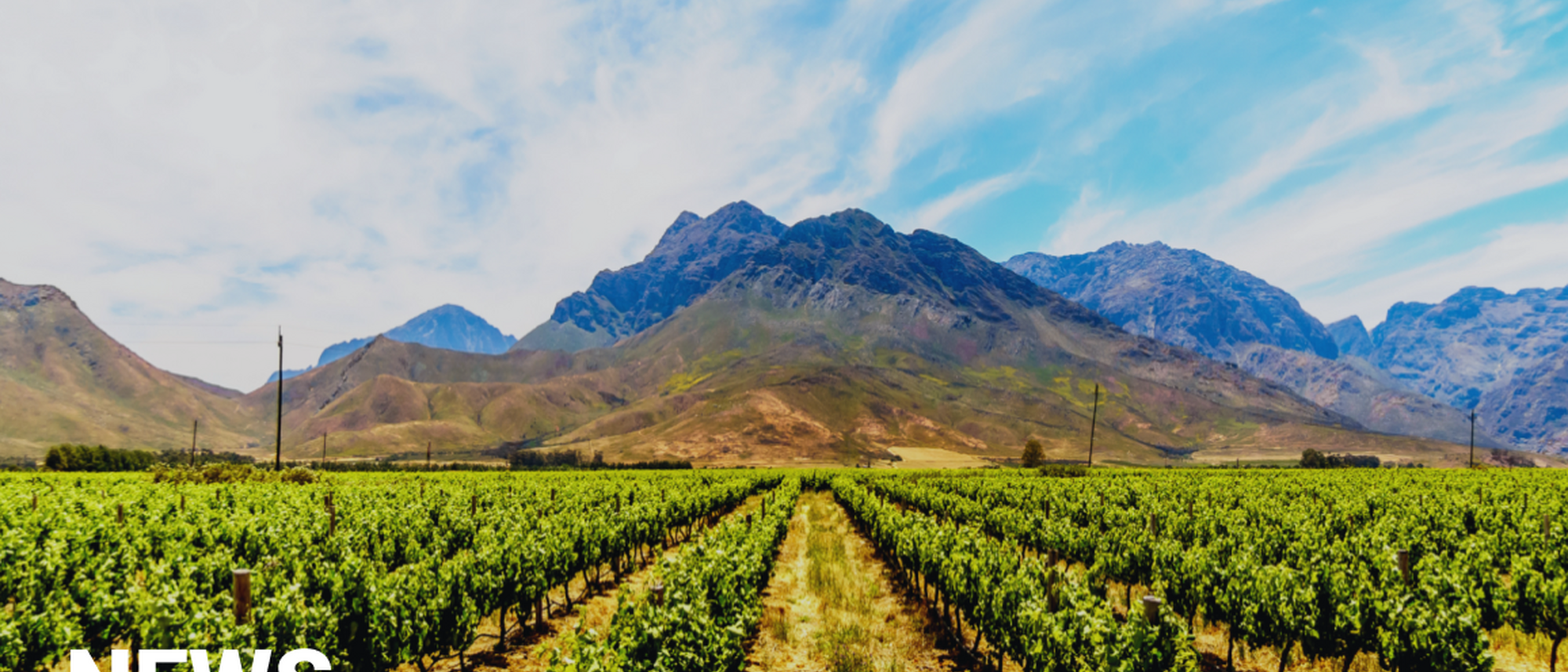 Image Title Image Title