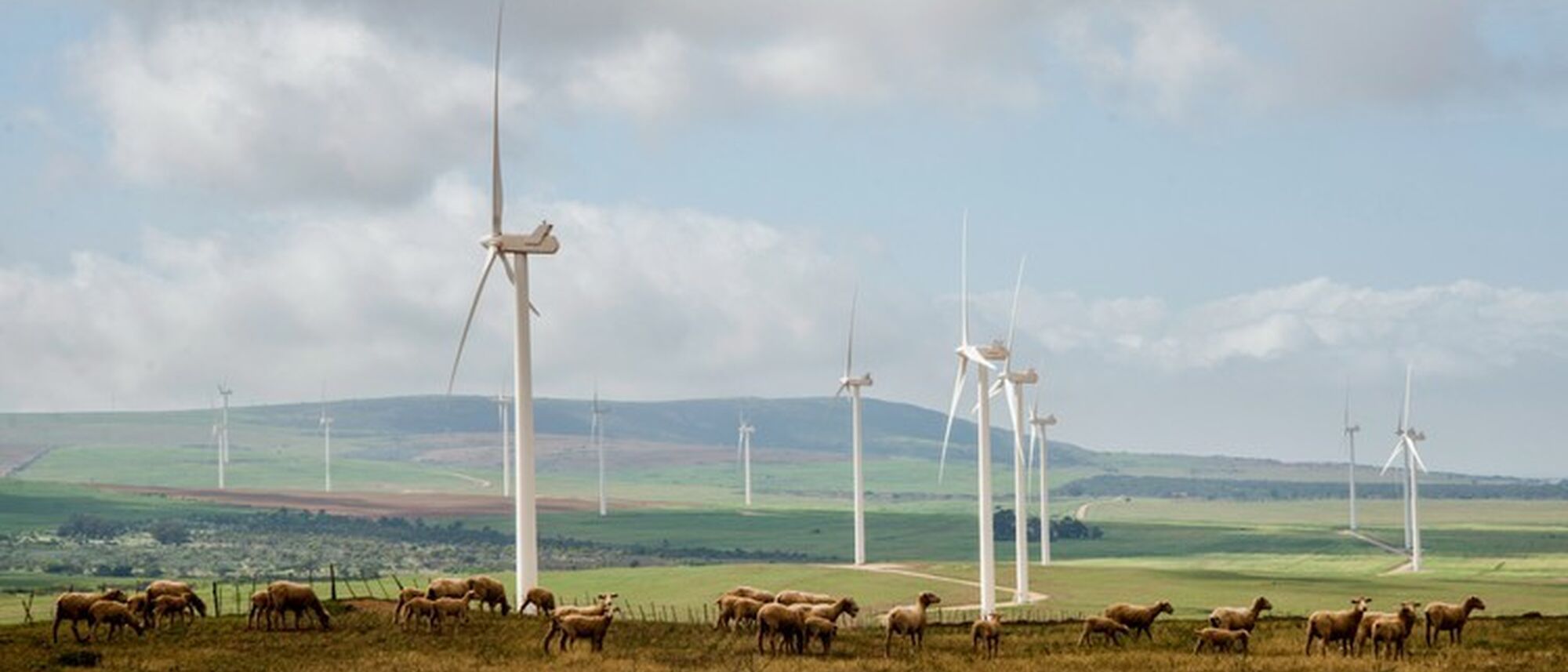 Image Title Image Title