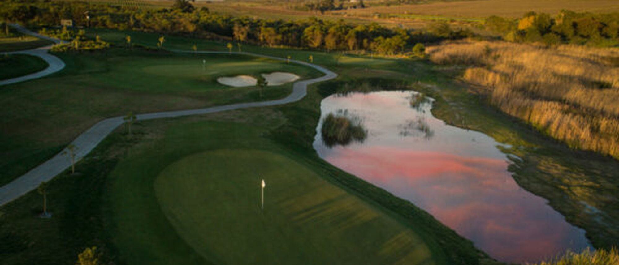 Image Title Image Title