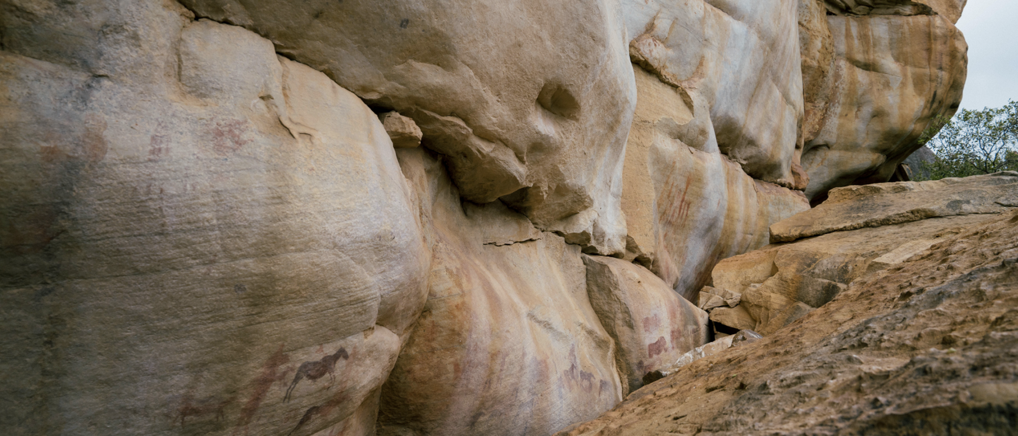 Image Title Image Title